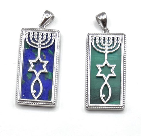 Sterling Silver With Stone of Israel Grafted In Pendant